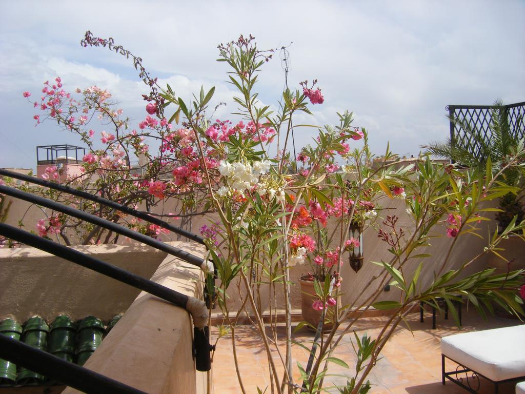 Riad Irene Marrakesh Extérieur photo