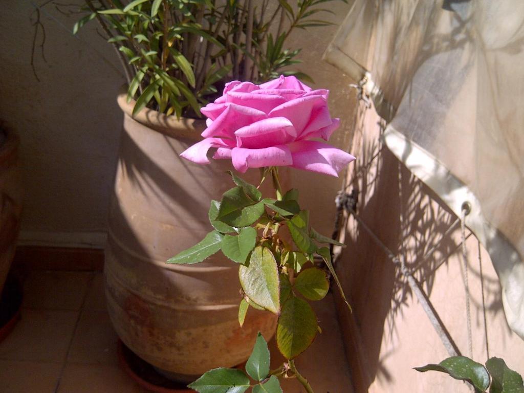 Riad Irene Marrakesh Extérieur photo